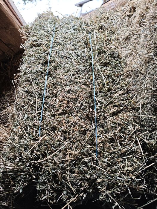 De vanzare baloti fan lucerna paie neplouat 2025