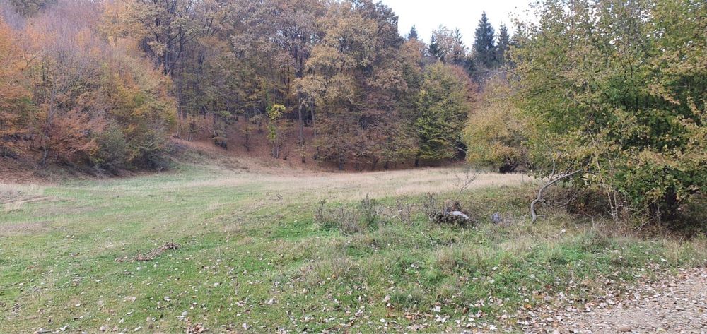 5 hectare / 4 loturi - Frasinet, Jud. Buzau
