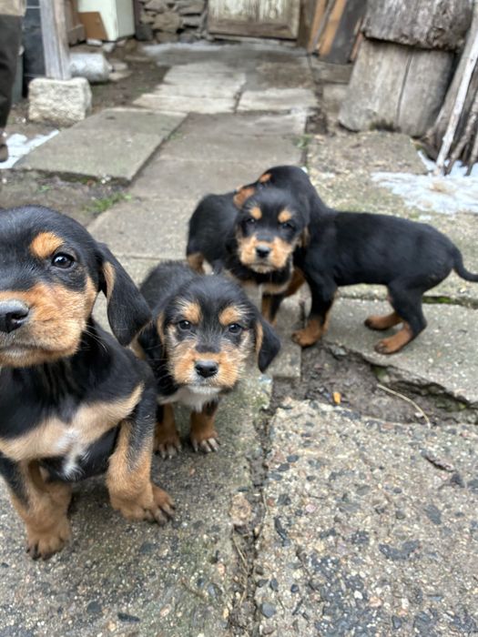 Бараци от работещи родители