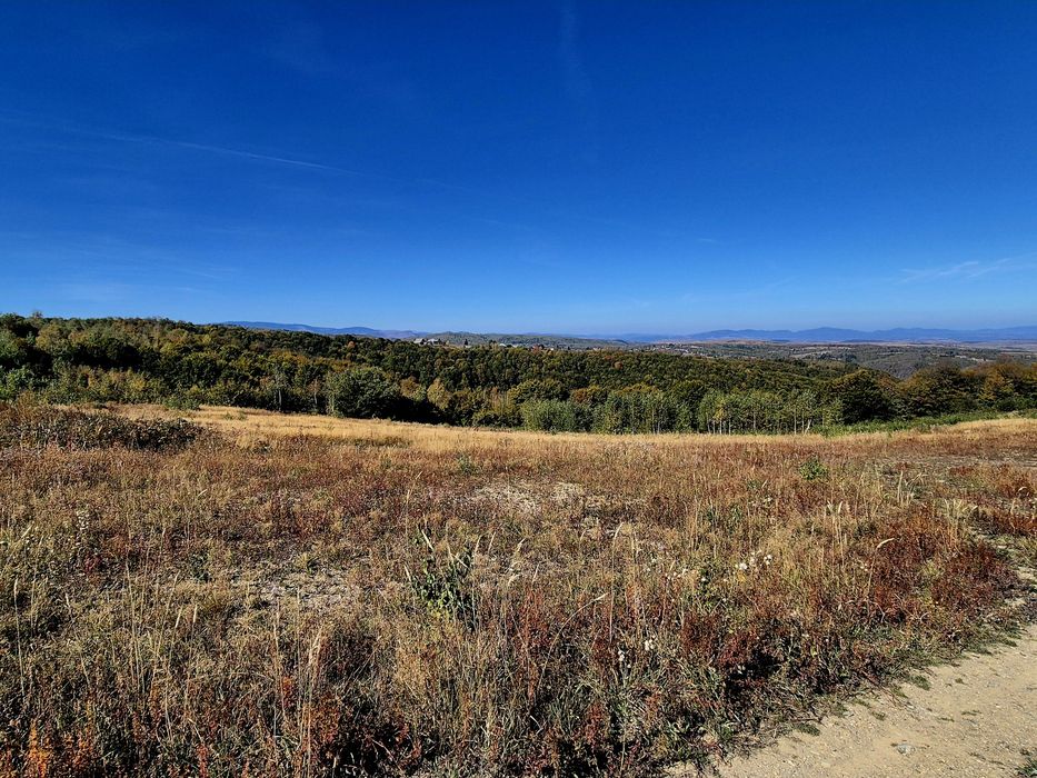 Teren  in Risca- curent,apa-Dealu Mare