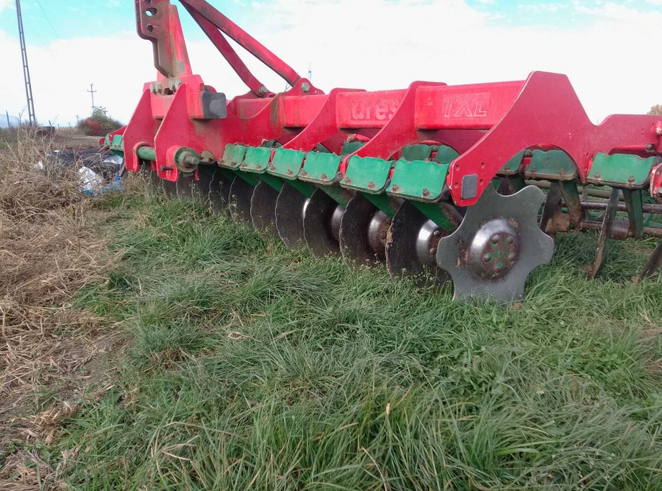 Disc (unia) de 4 m si un gruber (maschio)de 3 m