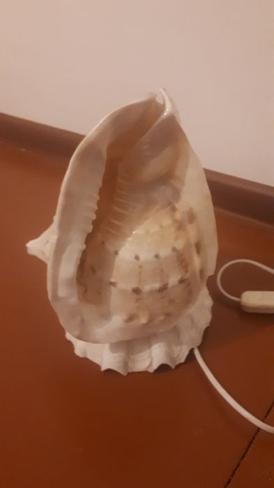 Светильники в форме ракушек