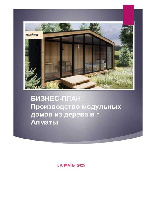 Бизнес план. Финансовая модель. Даму. ТЭО. Инвестиционный проект.
