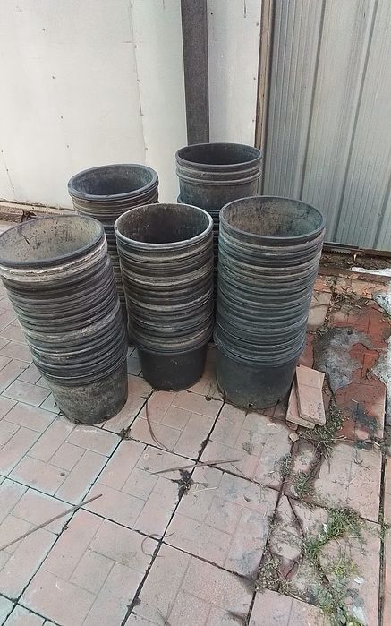 Гошки для растений