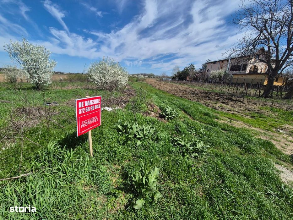 2 loturi de teren INTRAVILAN Bolintin-Deal 7800 mp si 2500 mp Pret neg