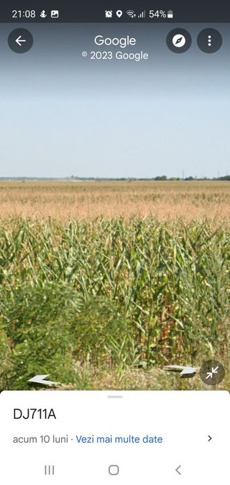 Teren extravilan Pitaru DB 45000 mp