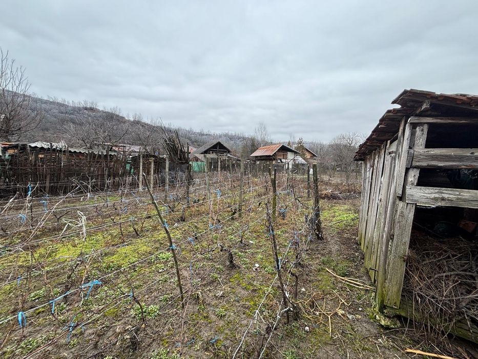 Casa de vanzare + teren agricol sat Ceptura de Sus