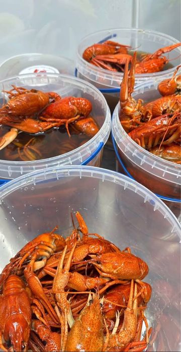 Доставка раков,живые раки,клешни краба,креветки