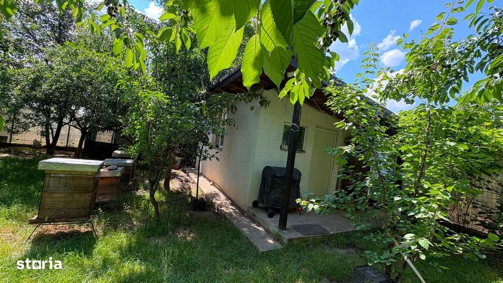 Casă din cărămidă 250 mp (utili 205 mp) + teren 761 mp, Aroneanu, Iasi