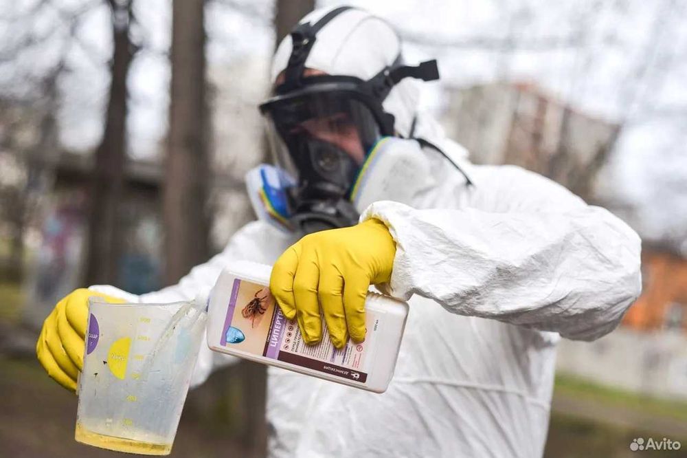 Dizinfeksiya | Dezenfeksiya | Dizenfeksiya | klapa burga клоп блохи Q1