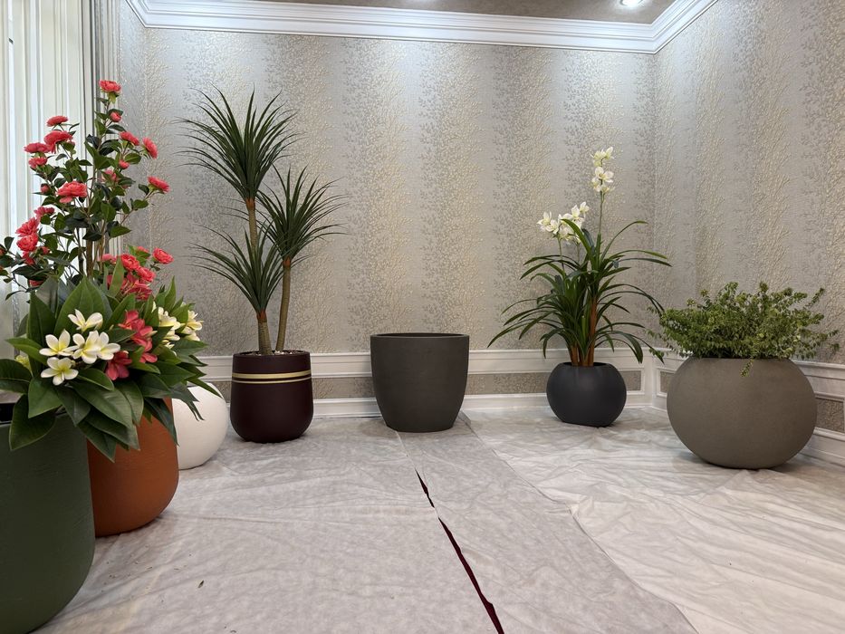 Гулдон Вазон Тувак