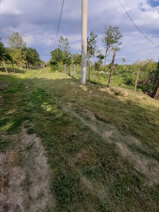 Teren intravilan de  vanzare Podari