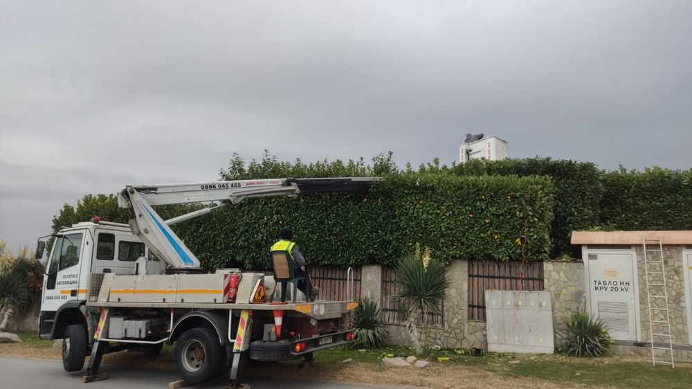 Косене и поддръжка на дворове  Пловдив