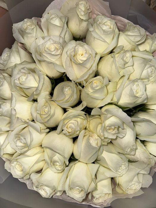 Свежие цветы, белые розы