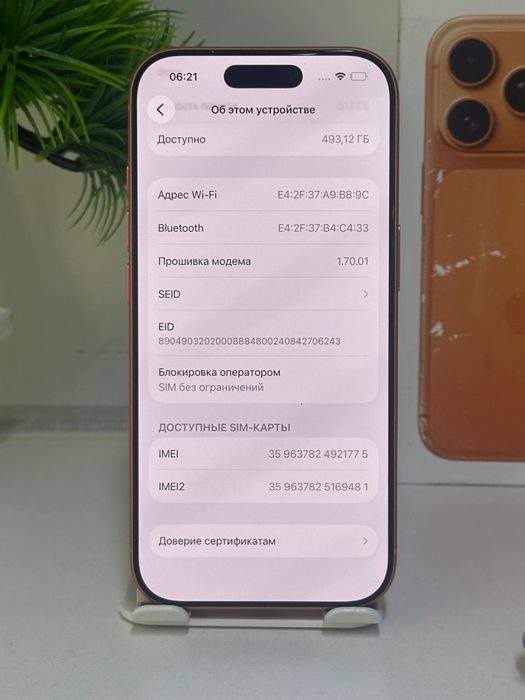 iPhone 17 Pro  / nano-Sim  13