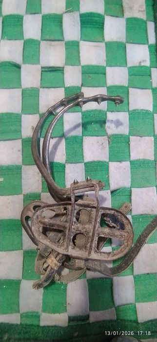 Kagte sotiladi soni 8 juft