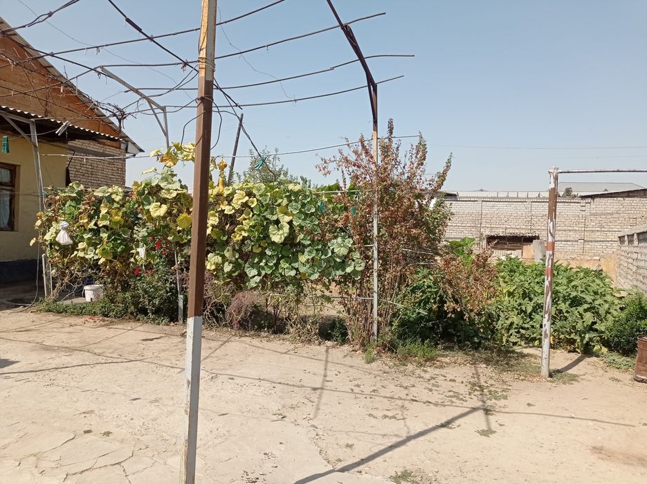 Ховли Уй сотилади Бектемир туманида