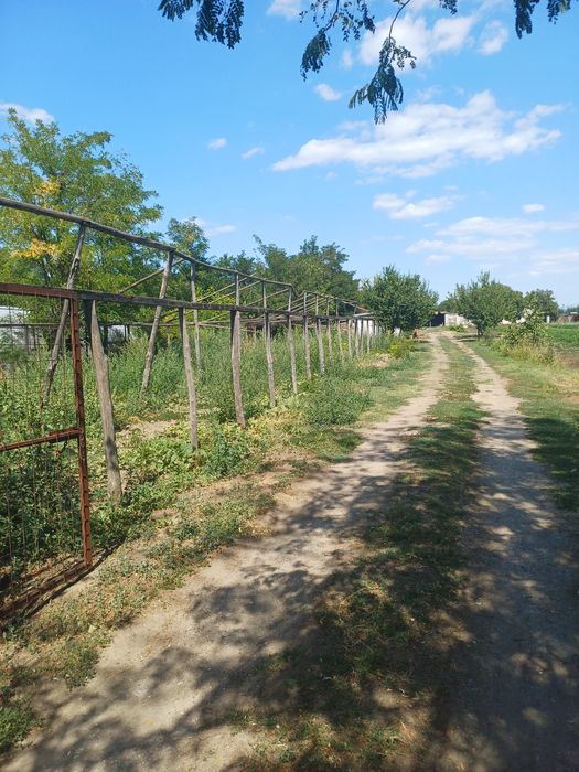 Casă cu teren în sat Albina