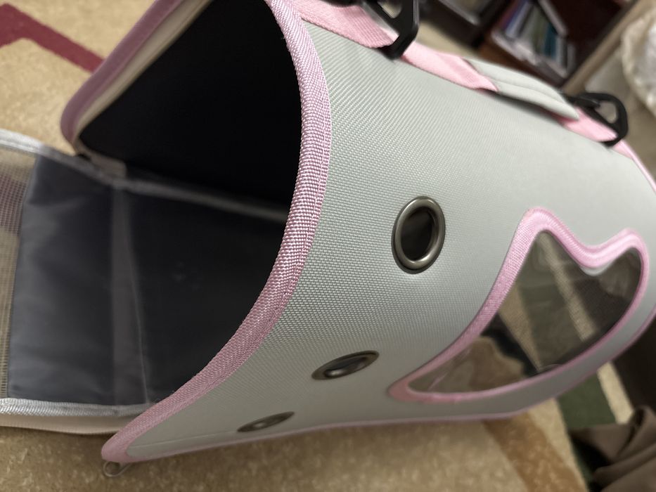 Отлаю катенка 2 месяцев