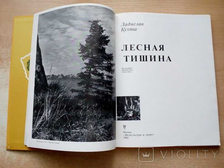 Книга: Ладислав Кухта «Лесная тишина»