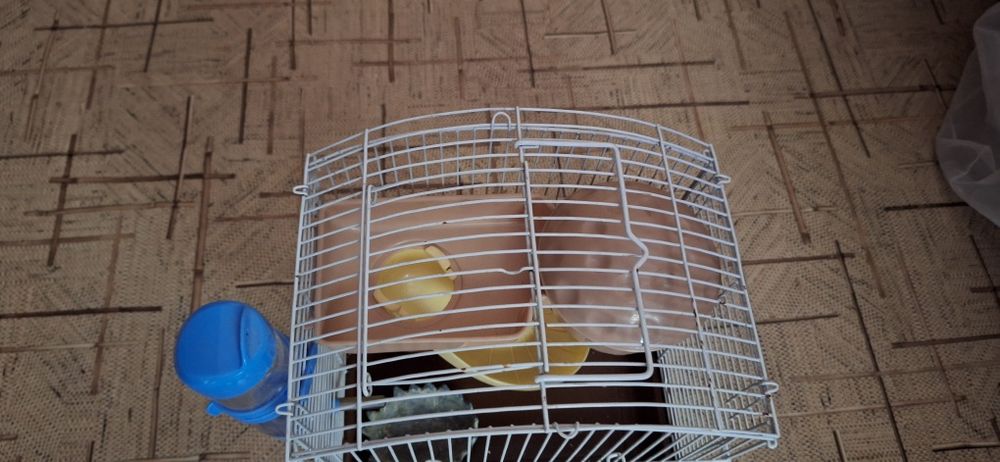 Продам клетку для хомяков