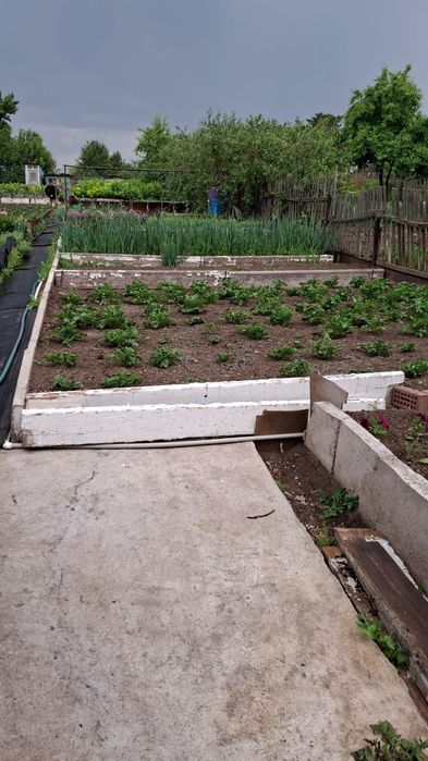 Продам дачу Химик верх