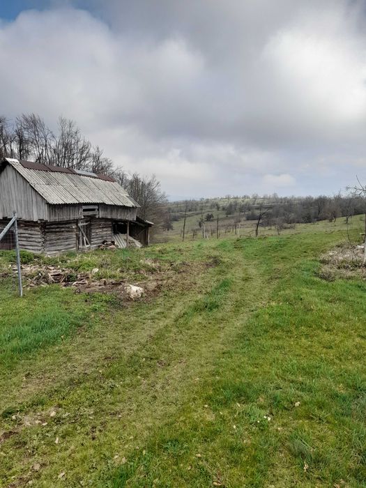 Coliba plus 2 hectare de pamant