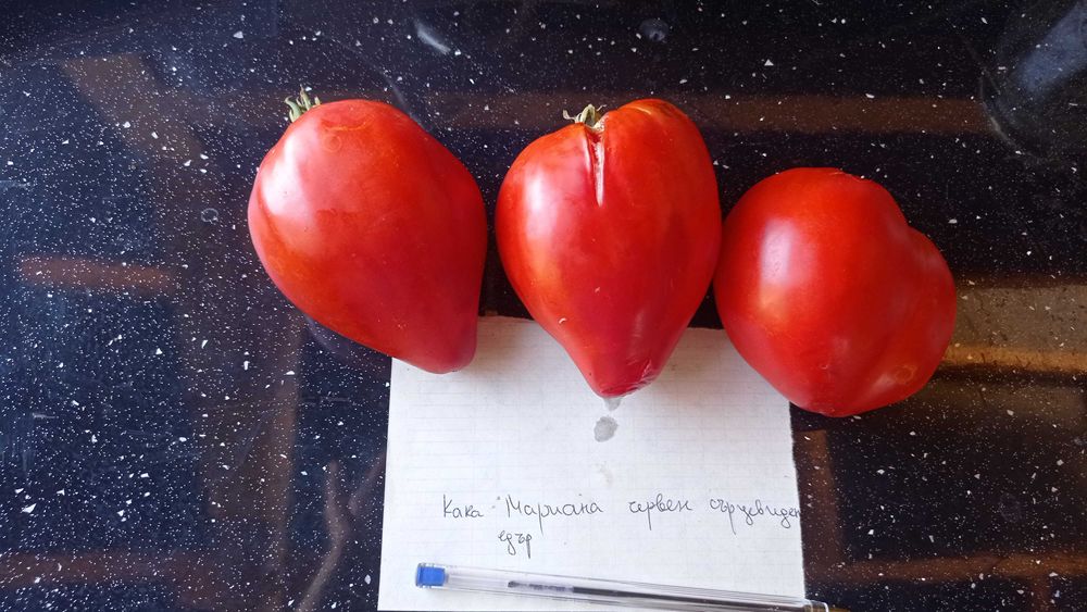 Стари сортове семена