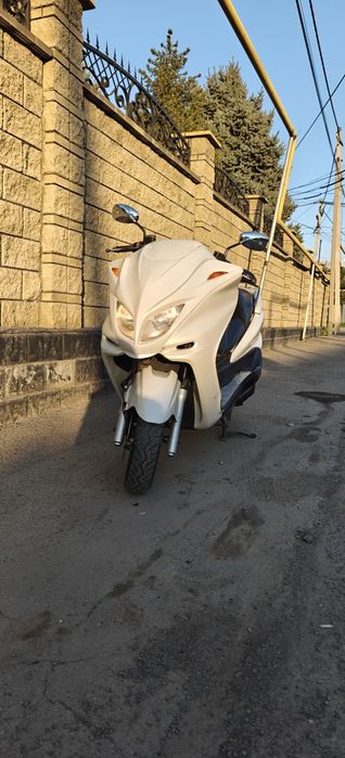 Yamaha Majesty 250