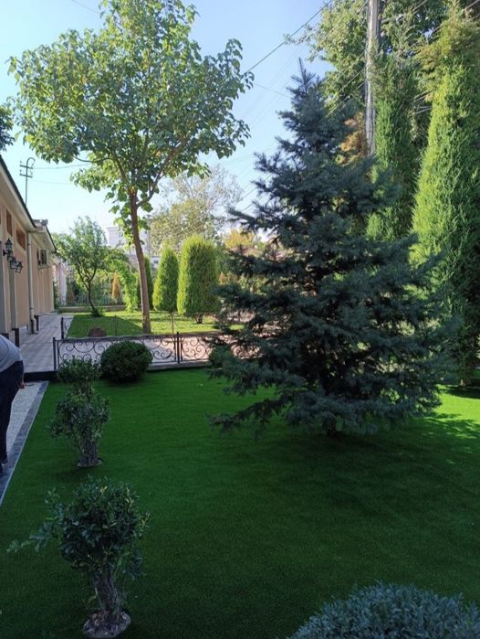 Суний газон ва девор