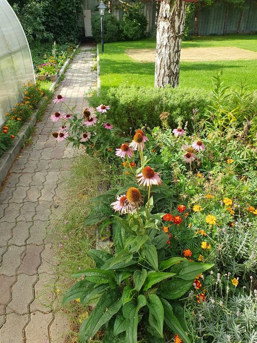 продам коттедж в Щучинске