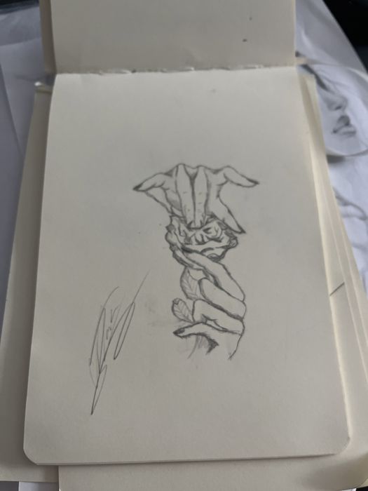 fac orice desene, portrete oameni, animale.