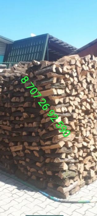 Дрова карагач рубленые !!!