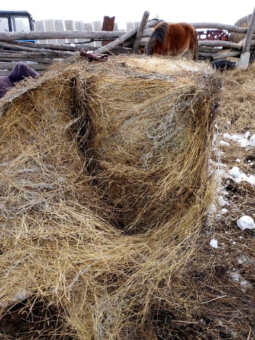 Продам житняк в рулонах