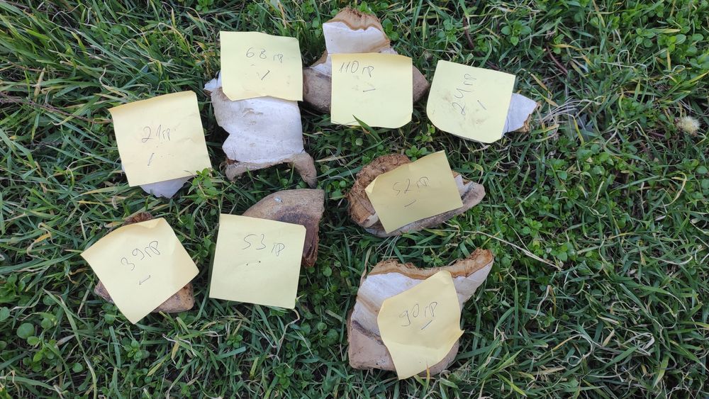 Прахан - Праханова гъба - Бушкрафт (Bushcraft), Оцеляване