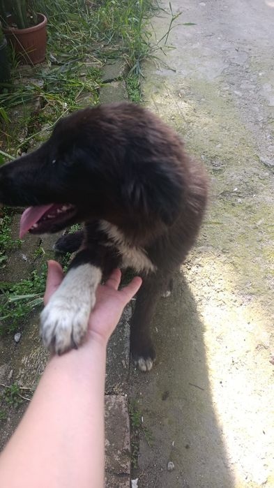 Девочка 4 месяца