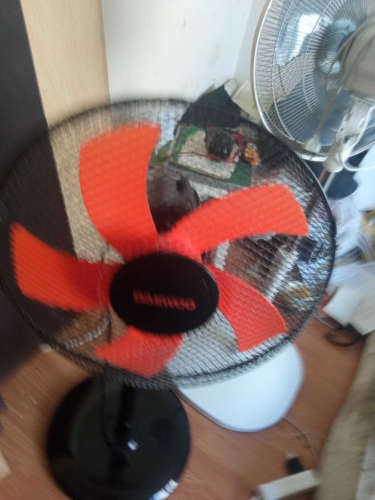 Ventilator Daewoo DDV 166 la jumatate de pret