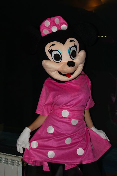 Професионални аниматори за вашето парти