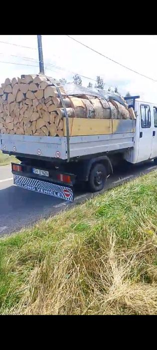 Vând lemne de fag și carpan