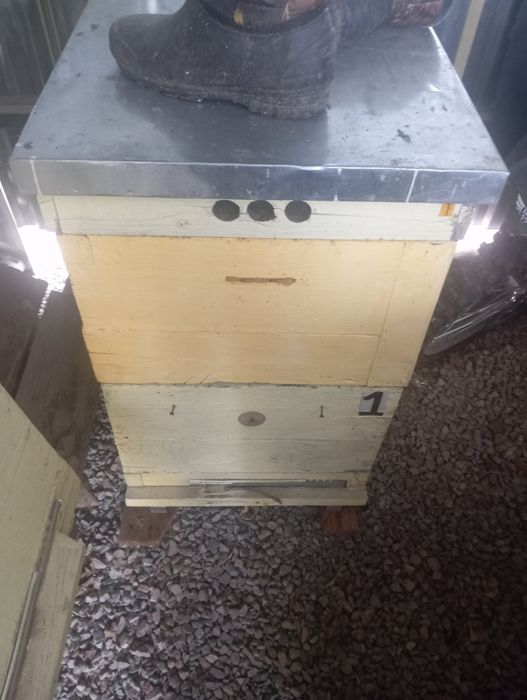 Продам улья системы дадан