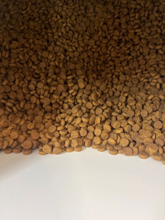 1 кг. Hill’s c/d Multicare