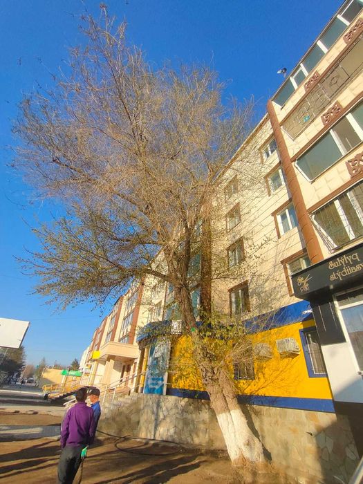 Обрезка, сруб, спил. кронирование деревьев благоустройство территорий