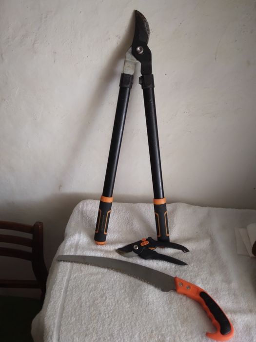 Foarfec mare 80 de lei,foarfec mic 50 de lei