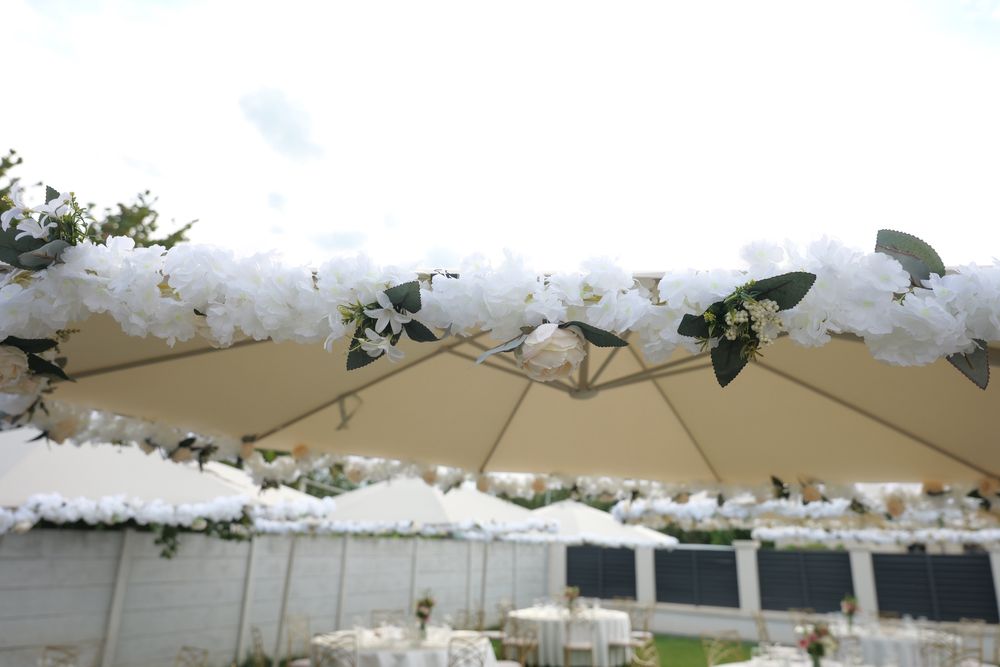 Scaune, mese, umbrele, vesela, corturi, aripi inger de inchiriat!