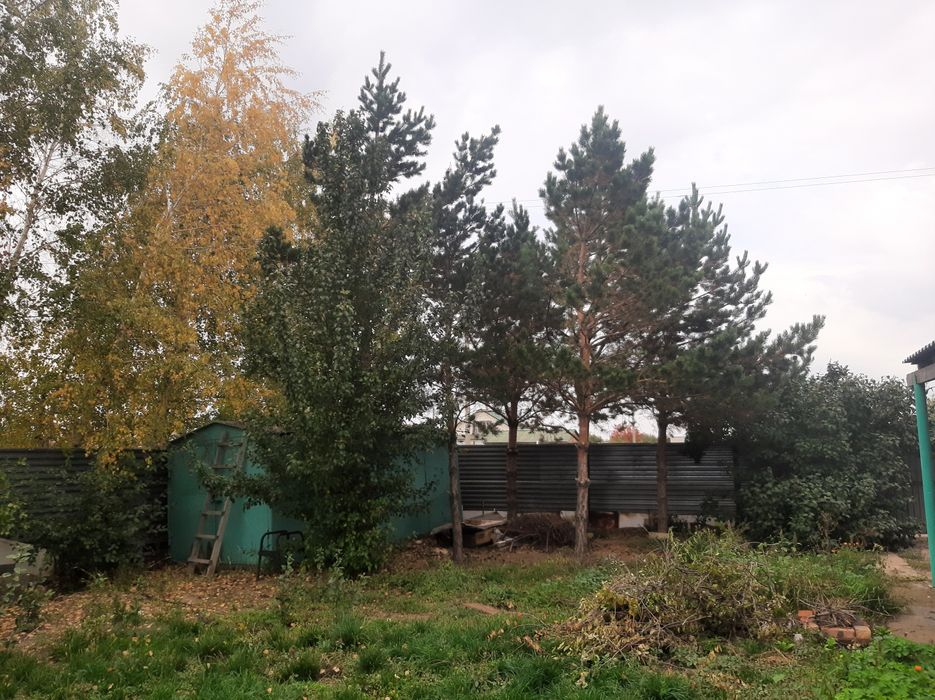 Продам дачу в СНТ "Водолей", район Байконур, г. Астана