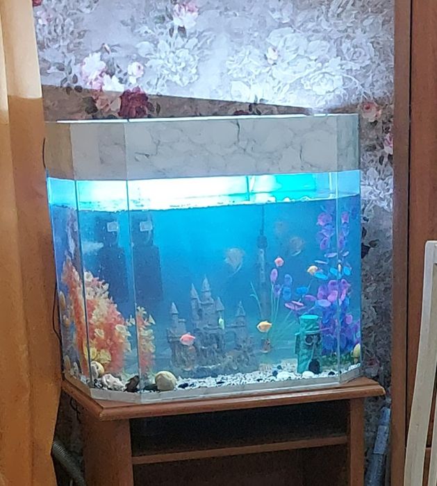 Продам аквариум 120л.