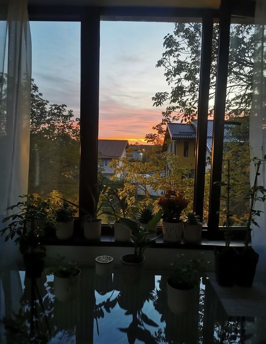 Apartament 2 camere Damaroaia