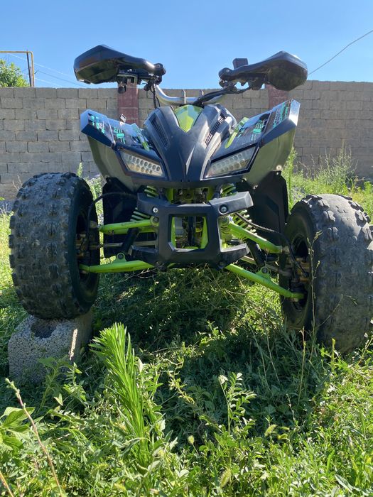 Квадроцикл tao motor berkut