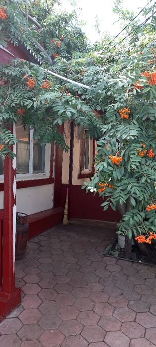 Продаём дом с магазином в Бурабай