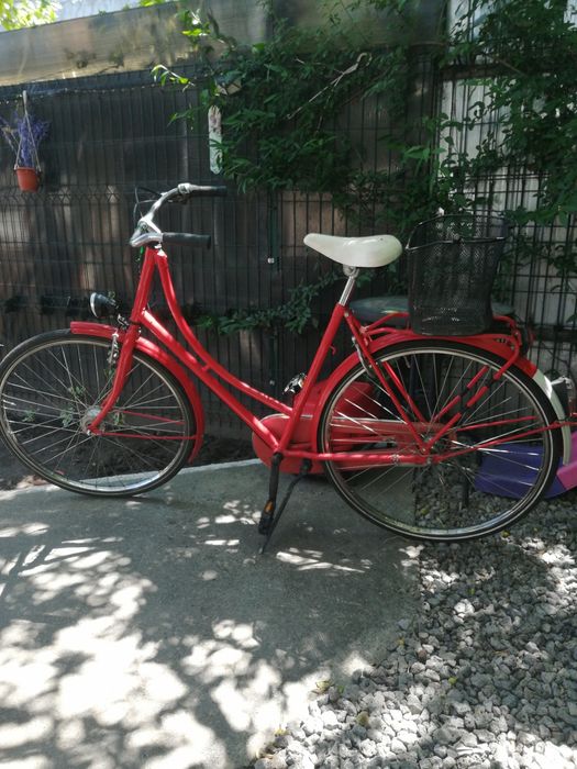Vind,bicicleta,dama